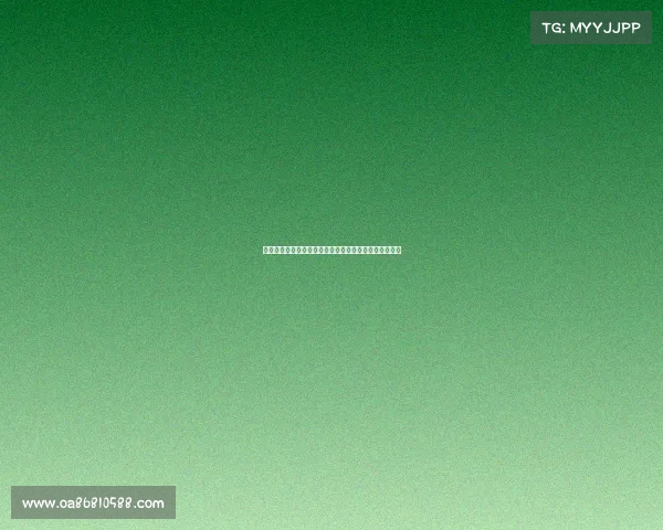 散打王商业赛事激情燃起全球竞技巅峰商业价值无限绽放