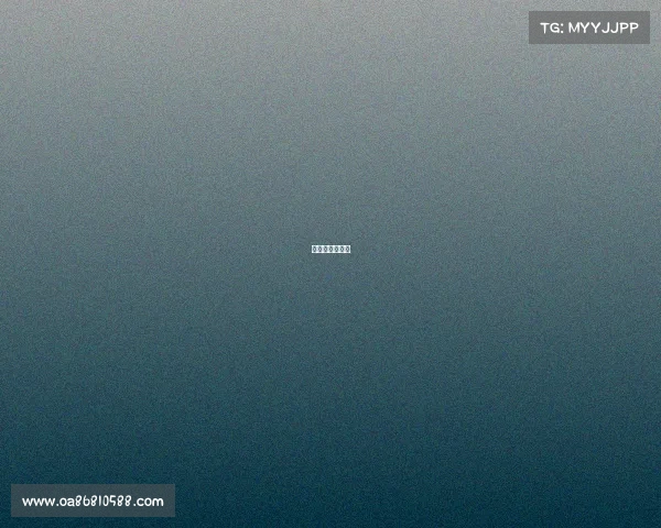 布赖顿赛事比分